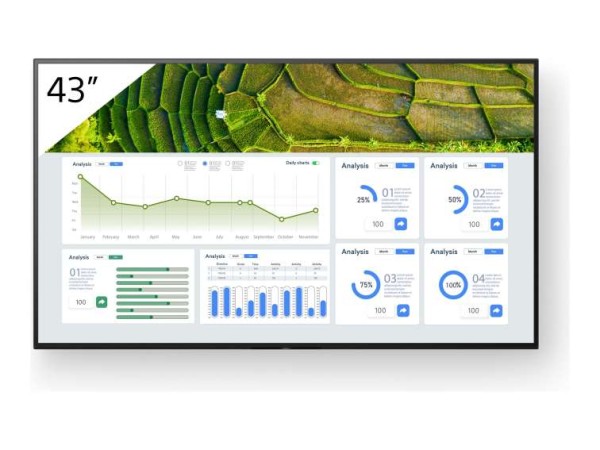 SONY Bravia FW-43BZ30L Professional Display 109cm (43") FW-43BZ30L