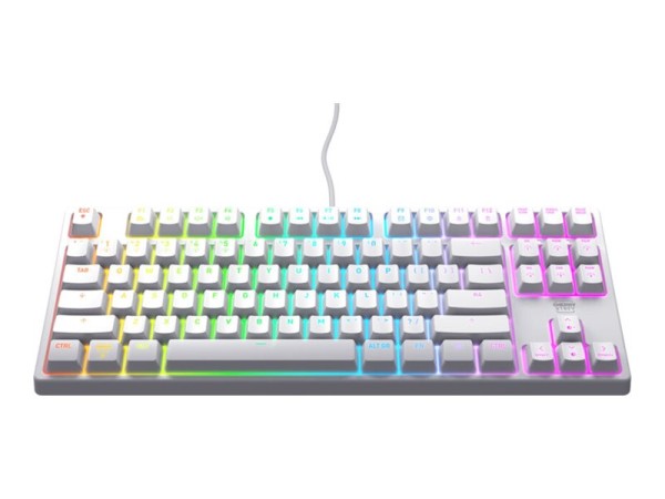 CHERRY XTRFY K4V2 TKL keyboard, white CX-K4V2-RGB-TKL-WH-R-FRA