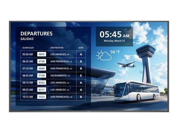 PHILIPS PHILIPS P-Line 65BDL6017P 165,1cm (65")