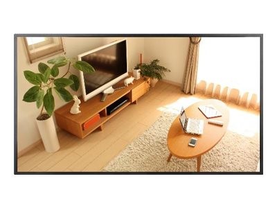 HIKVISION HIKVISION DS-D6043UN-B 43 Digital SignageDisplay for indoor use, wall mounting Monitors Displays