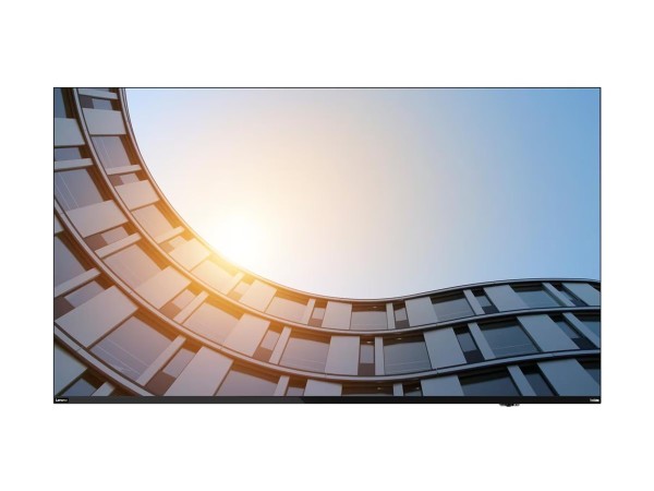 LENOVO LENOVO ThinkVision E65 LFD 165,1cm (64,5")