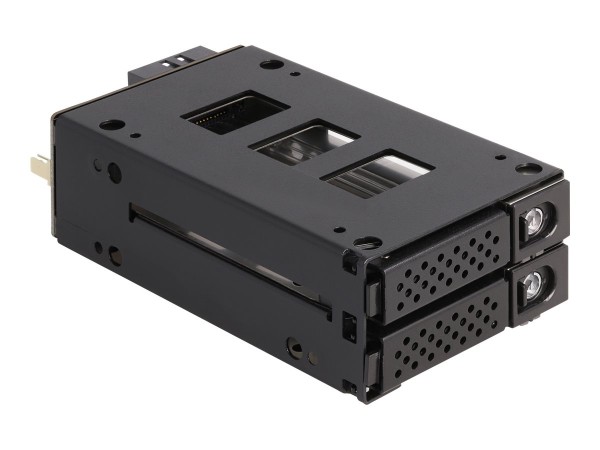 DELOCK Slim Bay Wechselrahmen 2 x2.5 U.2 NVMe SSD 5.25" 47011