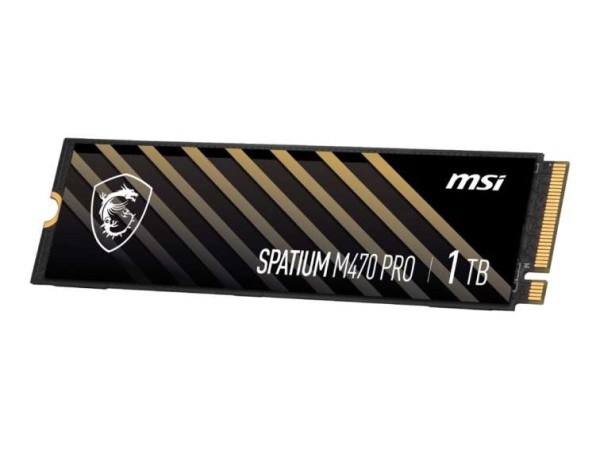 MSI Spatium M470 Pro 1TB S78-440L0J0-P83