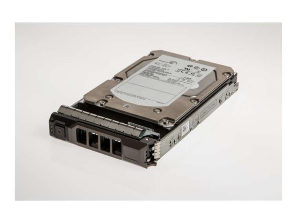 SAS 2TB ORIGIN 7.2K PEDGE R/T X10 SERIES DELL-2000NLS/7-S11