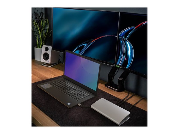RAIDSONIC RAIDSONIC Dockingstation IcyBox USB-C  11 in 1 mit PD60W, USB3.2