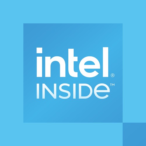 INTEL Processor 300 S1700 Tray CM8071505091904