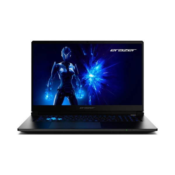 MEDION MEDION Erazer Defender 17 P1 43,9cm (17,3") Core 9 270H 32GB 2TB W11