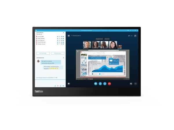 LENOVO LENOVO ThinkVision M14 35,6cm (14")