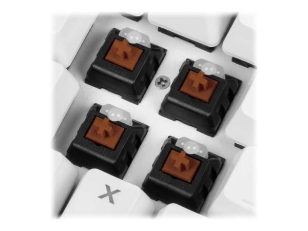 SHARKOON SGK3 wh Kailh Brown US 4044951032167