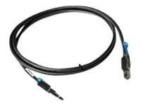 LSI CBL-SFF8644-8088-60M extern LSI00338