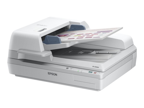 EPSON Workforce DS-6000/A3 B11B204231