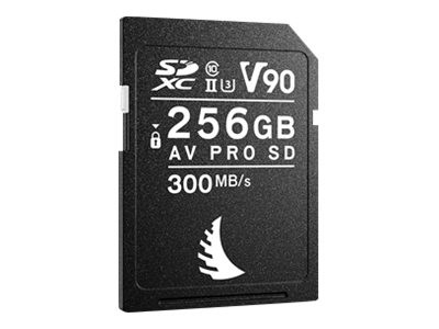 ANGELBIRD ANGELBIRD SD Card AV PRO UHS-II 256GB V90