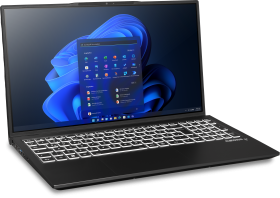 EXONE EXONE go Premico 1780 X13 43,9cm (17,3") i7-1355U 32GB 1TB W11P