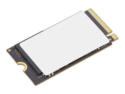 LENOVO LENOVO 4XB1P80584 512GB