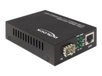 DELOCK Medien Konverter 10/100/1000Base-T zu 100/1000Base-X SFP 86110