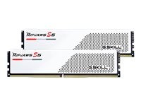 G.SKILL G.SKILL 64-RS5W 64GB Kit (2x32GB)