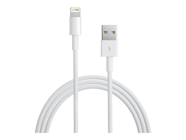 MANHATTAN IC INTRACOM TECHly - Lightning-Kabel - Lightning männlich zu USB männlich