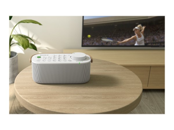 SONY SRS-LSR200 - Lautsprecher - für TV - kabellos SRS-LSR200