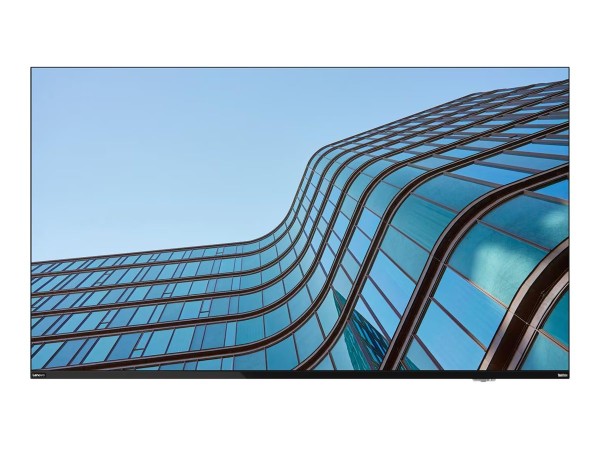 LENOVO LENOVO ThinkVision E55 LFD 139,7cm (54,6")