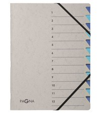PAGNA Ordnungsmappe Easy Grey, A4, 12 Fächer, grau / orange