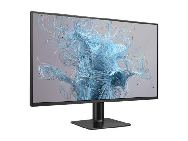 PHILIPS 27E2N2500 68,6cm (27") 27E2N2500/00