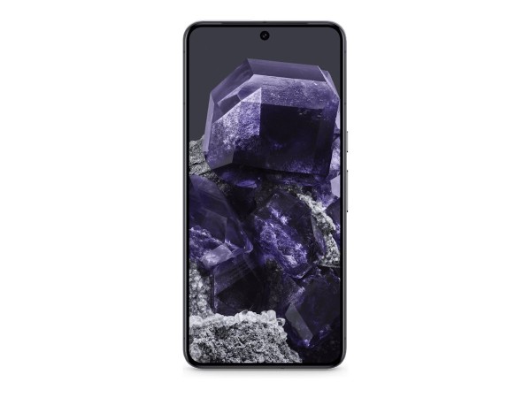 GOOGLE GOOGLE Pixel 8 Pro 128GB obsidian DE