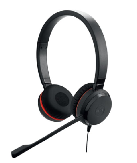 Jabra Evolve 20 Special Edition MS Duo USB - Headset - Lautstärkeregler