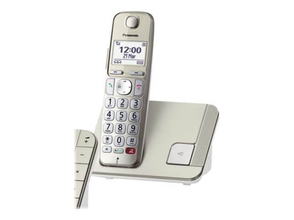PANASONIC PANASONIC KX-TGE250GN DECT/GAP Schnurgebundenes Telefon, analog Anrufbeantworter, Babyphone, Fr