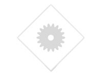 LEXMARK LEXMARK Developer
