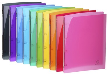 EXACOMPTA Ringbuch Iderama, PP, A4, 4-Ringe, anisgrün