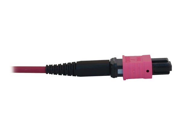 EATON TRIPPLITE 100G Multimode 50/125 OM4 Fiber Optic Cable 12F MTP/MPO-PC N845B-25M-12-MG