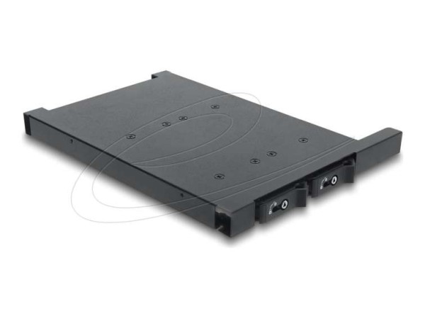 DELOCK Wechselrahmen für 2 x M.2 NMVe SSD mit SFF-8654 Anschluss für 12,7mm 47138