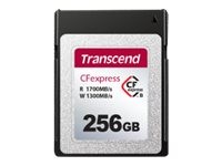 TRANSCEND TRANSCEND TS256GCFE820 256GB