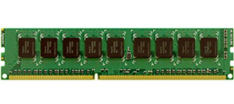 INFORTREND Infortrend Storage 2GB DDR-III DIMM module for ESDS