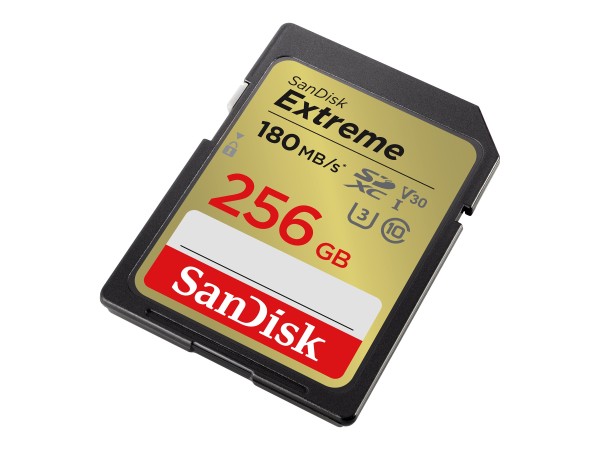 SANDISK Extreme 256GB SDXC Speicherkarte 2022 (bis zu 180MB/s, Cl10, U3, V3 SDSDXVV-256G-GNCIN