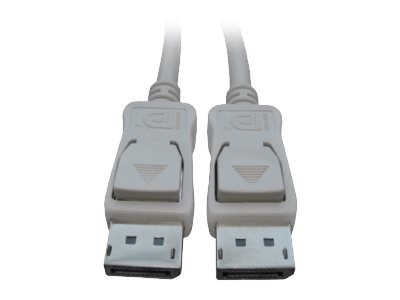FUJITSU - DisplayPort-Kabel - DisplayPort (M) bis DisplayPort (M) - Display S26391-F6055-L223