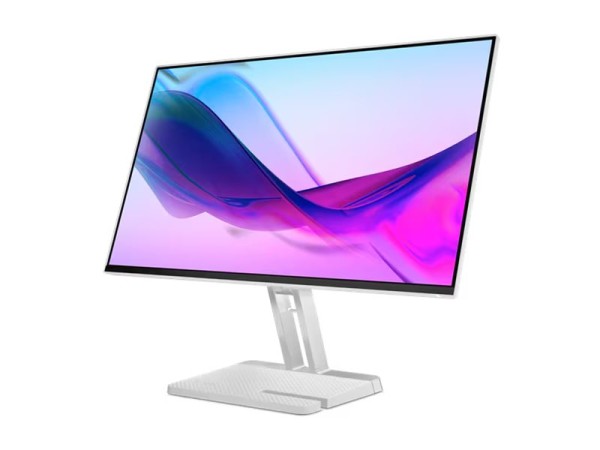 LENOVO LENOVO L24i-4a 60,5cm (23,8")