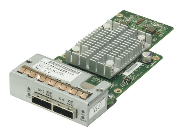 INFORTREND Infortrend Storage Host board, type-1, with 2xSAS-6G ports