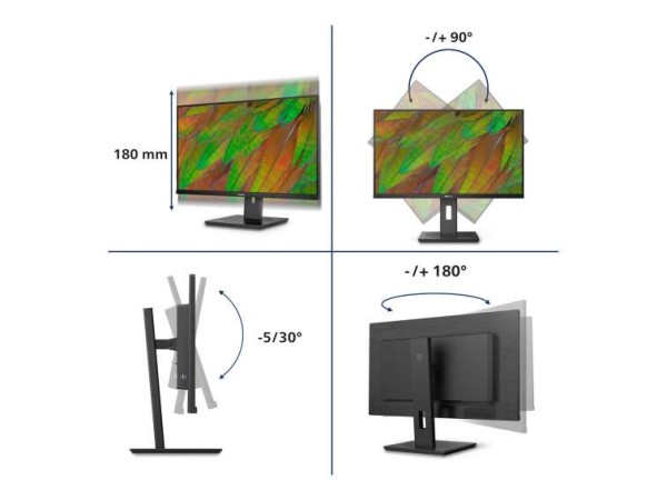 PHILIPS 32B1N3800 80cm (31,5") 32B1N3800/00