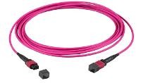 EFB ELEKTRONIK EFB ELEKTRONIK MTP¬-F/MTP¬-F 72-Fasermatrix Patchkabel OM4 LSZH erika-violett, Code A, 5m (MTPF72MTP
