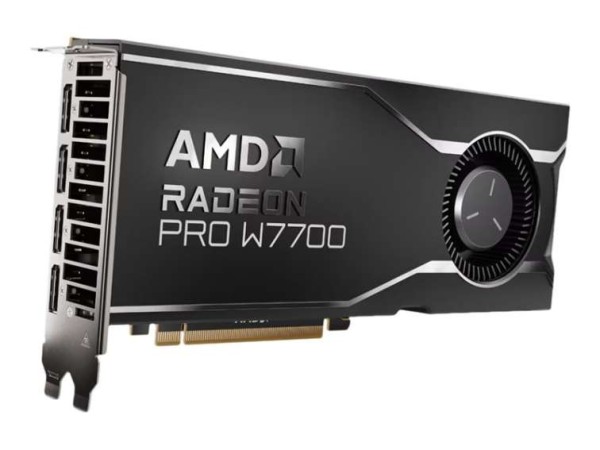 AMD Radeon Pro W7700 16GB 100-300000006
