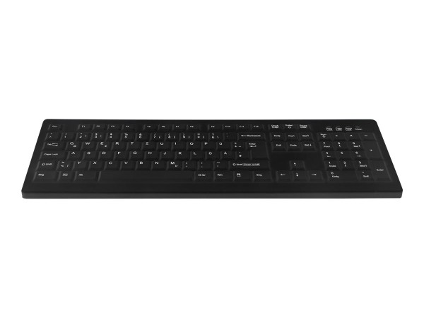 CHERRY CHERRY ACTIVE KEY MTA AK-C8100 Corded DE-Layout schwarz