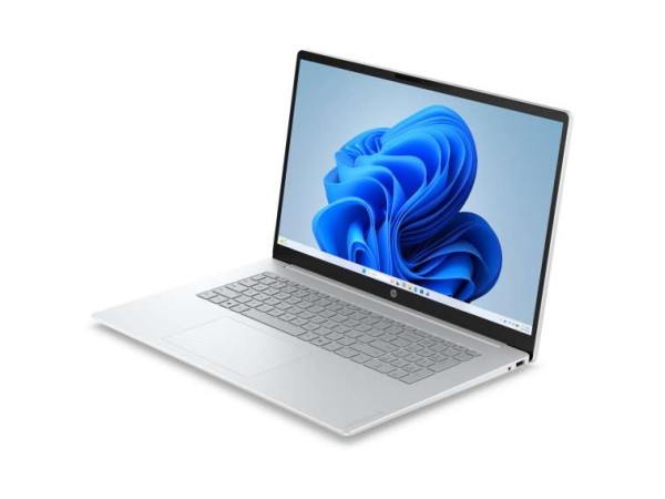 HP OmniBook 3 17-dp0451ng 43,9cm (17,3") Ryzen 5 40 16GB 512GB W11 D49KREA#ABD