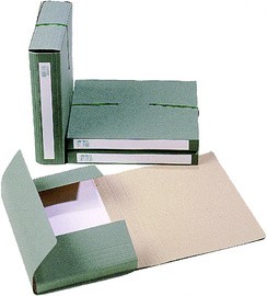 extendos Sammelbox 1240, für DIN A4, aus Karton, grün
