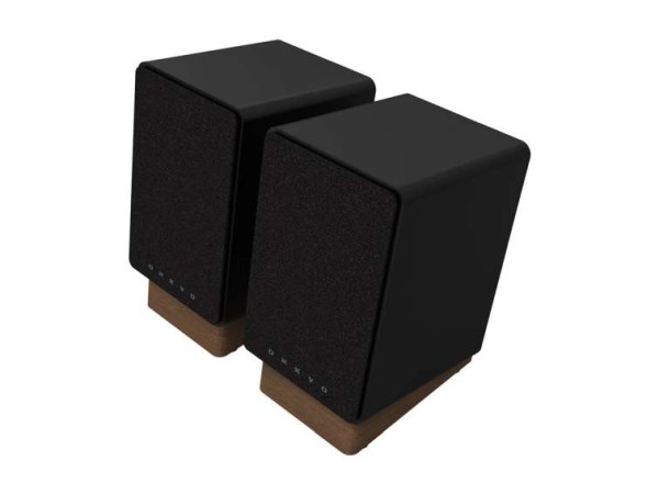 ONKYO GX30-ARC Powered Monitors schwarz GX30ARCBCUU