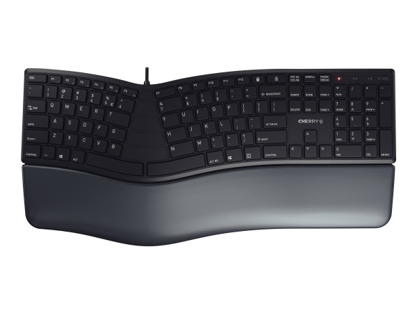 CHERRY CHERRY TAS KC 4500 ERGO EU Layout