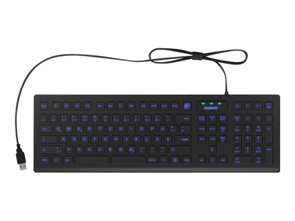 KEYSONIC KEYSONIC Tas Keysonic KSK-8031INEL-B   (DE) Industrietastatur 105T bl