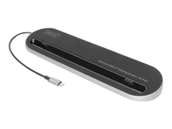 DIGITUS DA-70888 12-Port USB-C Docking Station grau DA-70888