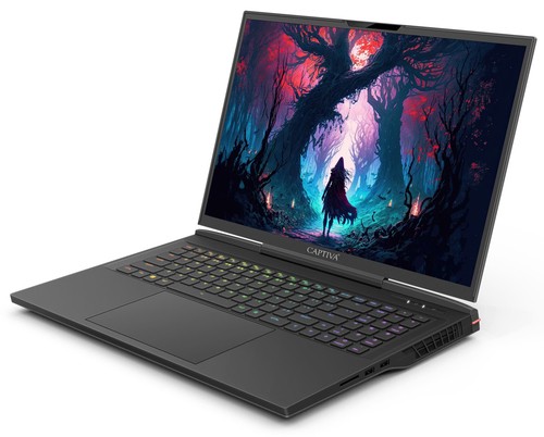 CAPTIVA Advanced Gaming I86-099 43,9cm (17,3") i9-14900HX 16GB 1TB W11 86099