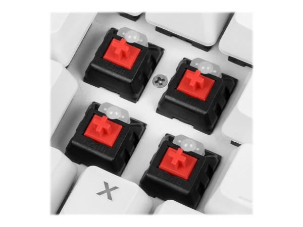 SHARKOON SHARKOON SGK3 wh Kailh Red US